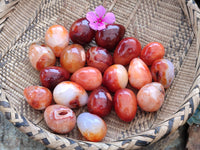 Polished Carnelian Eggs x 20 From Madagascar