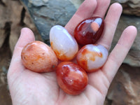 Polished Carnelian Eggs x 20 From Madagascar