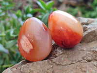 Polished Carnelian Eggs x 20 From Madagascar