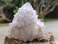 Natural Amethyst Spirit Quartz Clusters x 6 From Boekenhouthoek, South Africa