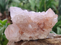 Natural Amethyst Spirit Quartz Clusters x 6 From Boekenhouthoek, South Africa