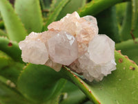 Natural Amethyst Spirit Quartz Clusters x 6 From Boekenhouthoek, South Africa