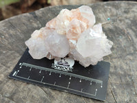 Natural Amethyst Spirit Quartz Clusters x 6 From Boekenhouthoek, South Africa