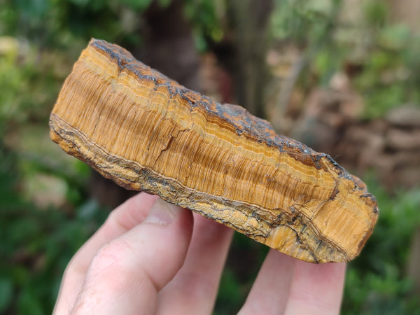 Polished On One Side Tiger's Eye Slabs x 2 From Prieska, South Africa