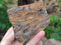 Polished On One Side Tiger's Eye Slabs x 2 From Prieska, South Africa