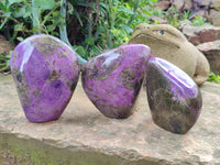 Polished Stichtite Standing Free Forms x 3 From Barberton, South Africa