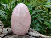 Polished Rose Quartz Standing Free Forms x 4 From Ambatondrazaka, Madagascar