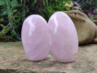 Polished Rose Quartz Standing Free Forms x 4 From Ambatondrazaka, Madagascar