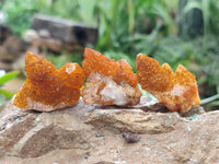 Natural Golden Solar Spirit Quartz Clusters x 35 From Boekenhouthoek, South Africa