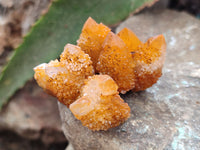 Natural Golden Solar Spirit Quartz Clusters x 35 From Boekenhouthoek, South Africa