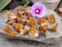 Natural Golden Solar Spirit Quartz Clusters x 35 From Boekenhouthoek, South Africa