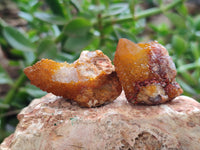 Natural Golden Solar Spirit Quartz Clusters x 35 From Boekenhouthoek, South Africa