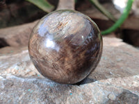 Polished Petrified Wood Spheres x 4 From Gokwe, Zimbabwe