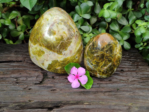 Polished Green Opal Standing Free Forms x 2 From Antsirabe, Madagascar