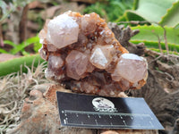 Natural Smokey Amethyst Spirit Quartz Clusters x 4 From Boekenhouthoek, South Africa