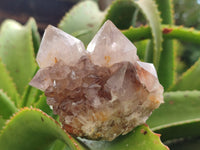 Natural Smokey Amethyst Spirit Quartz Clusters x 4 From Boekenhouthoek, South Africa