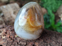 Polished Banded Agate Standing Free Forms x 6 From Madagascar