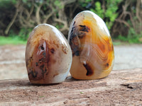 Polished Banded Agate Standing Free Forms x 6 From Madagascar