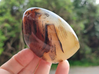 Polished Banded Agate Standing Free Forms x 6 From Madagascar