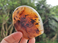 Polished Banded Agate Standing Free Forms x 6 From Madagascar