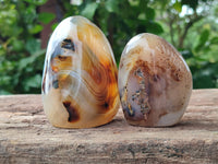 Polished Banded Agate Standing Free Forms x 6 From Madagascar