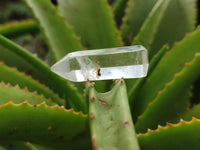 Polished Clear Quartz Crystals x 35 From Madagascar