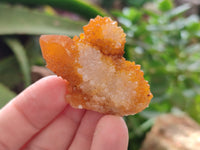 Natural Golden Solar Spirit Quartz Crystals x 35 From Boekenhouthoek, South Africa