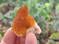 Natural Golden Solar Spirit Quartz Crystals x 35 From Boekenhouthoek, South Africa