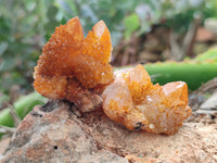 Natural Golden Solar Spirit Quartz Crystals x 35 From Boekenhouthoek, South Africa