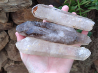 Natural Mixed Smokey Window Quartz Crystals x 6 From Southern Africa