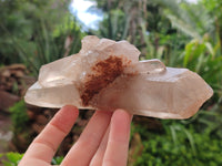 Natural Mixed Smokey Window Quartz Crystals x 6 From Southern Africa