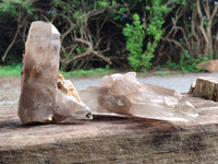 Natural Mixed Smokey Window Quartz Crystals x 6 From Southern Africa