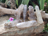 Natural Mixed Smokey Window Quartz Crystals x 6 From Southern Africa