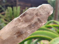 Natural Mixed Smokey Window Quartz Crystals x 6 From Southern Africa