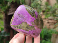 Polished Stichtite Standing Free Forms x 3 From Barberton, South Africa