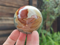 Polished Polychrome Jasper Spheres x 6 From Mahajanga, Madagascar