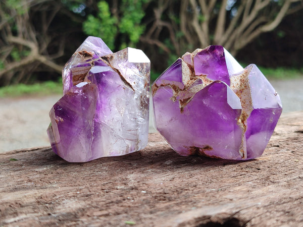 Polished Smokey Window Amethyst Quartz Crystals x 6 From Akansobe, Madagascar