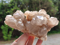 Natural Smokey Phantom Quartz Clusters x 2 From Luena, Congo