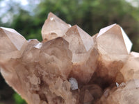 Natural Smokey Phantom Quartz Clusters x 2 From Luena, Congo