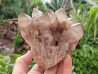 Natural Smokey Phantom Quartz Clusters x 2 From Luena, Congo