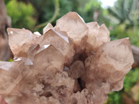 Natural Smokey Phantom Quartz Clusters x 2 From Luena, Congo