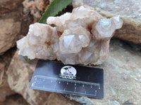 Natural Smokey Phantom Quartz Clusters x 2 From Luena, Congo