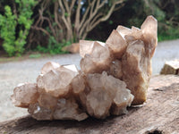 Natural Smokey Phantom Quartz Clusters x 2 From Luena, Congo