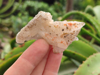 Natural Drusy Quartz Coated Calcite Pseudomorph Specimens x 20 From Alberts Mountain, Lesotho