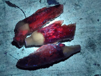 Natural Drusy Quartz Coated Calcite Pseudomorph Specimens x 20 From Alberts Mountain, Lesotho