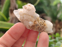 Natural Drusy Quartz Coated Calcite Pseudomorph Specimens x 20 From Alberts Mountain, Lesotho