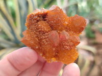 Natural Golden Solar Spirit Quartz Clusters x 20 From Boekenhouthoek, South Africa