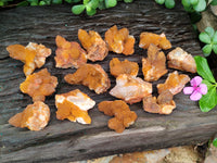 Natural Golden Solar Spirit Quartz Clusters x 20 From Boekenhouthoek, South Africa