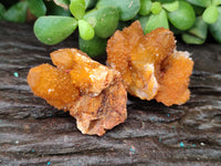 Natural Golden Solar Spirit Quartz Clusters x 20 From Boekenhouthoek, South Africa