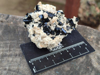 Natural Schorl Black Tourmaline With Hyalite Opal Specimens x 12 From Namibia